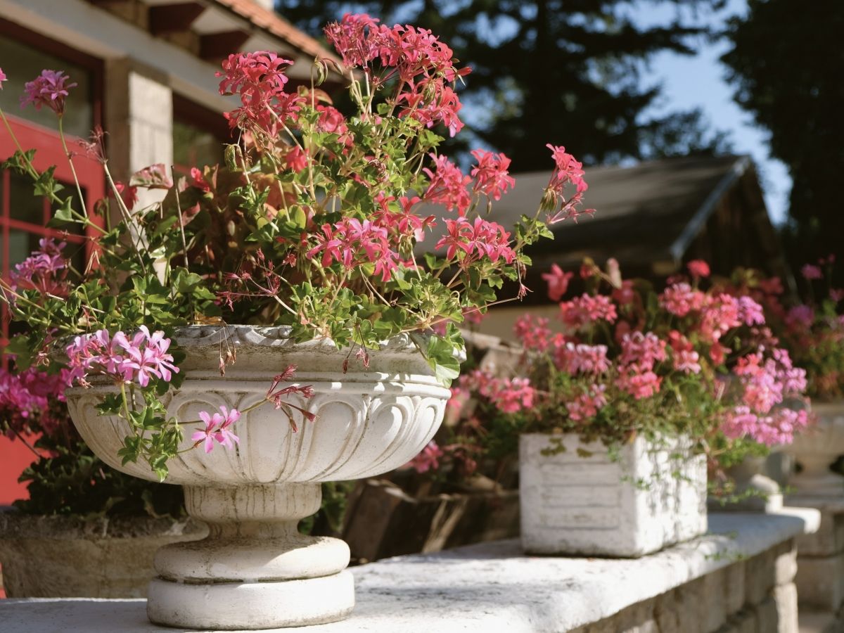 Hotel, restaurant, charme, campagne, Chantilly, Paris